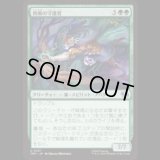 西風の守護者/West Wind Avatar [TMT]