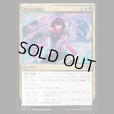 カライの奥義/Karai's Technique [TMT]