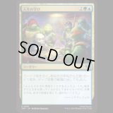 人生の学び/Lessons from Life [TMT]