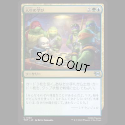 画像1: 人生の学び/Lessons from Life [TMT]