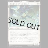 青を纏うリーダー、レオナルド/Leonardo, Leader in Blue [TMT]