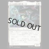 小さな孤児の両生種、リタ/Lita, Little Orphan Amphibian [TMT]