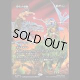 野生の律動/Rhythm of the Wild [PZA]