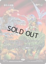 野生の律動/Rhythm of the Wild [PZA]