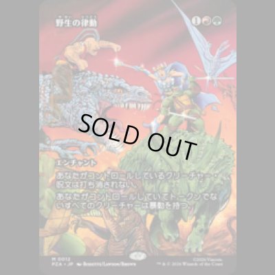 画像1: 野生の律動/Rhythm of the Wild [PZA]