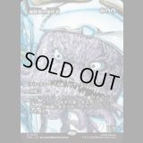 細胞質の操作者/Cytoplast Manipulator [PZA]