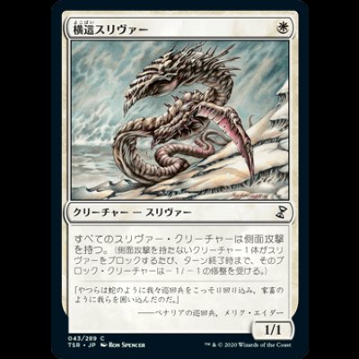 画像1: 横這スリヴァー/Sidewinder Sliver [TSR]