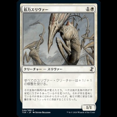 画像1: 筋力スリヴァー/Sinew Sliver [TSR]