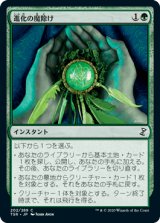 進化の魔除け/Evolution Charm [TSR]