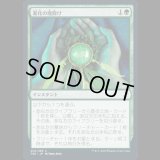 進化の魔除け/Evolution Charm [TSR]