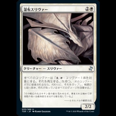 画像1: 湿布スリヴァー/Poultice Sliver [TSR]