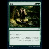 調和/Harmonize [TSR]