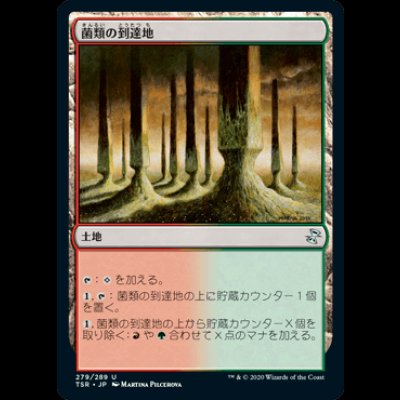 画像1: 菌類の到達地/Fungal Reaches [TSR]