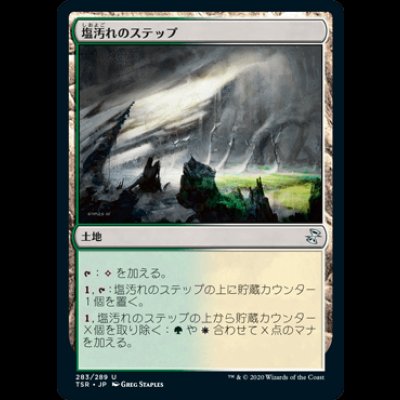 画像1: 塩汚れのステップ/Saltcrusted Steppe [TSR]