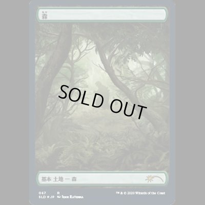 画像1: [FOIL] 森/Forest(67) [SLD]