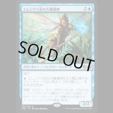 エレンドラ谷の大魔導師/Glen Elendra Archmage [UMA]