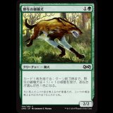 野生の雑種犬/Wild Mongrel [UMA]