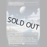 [FOIL] 神聖なる泉/Hallowed Fountain [UNF]