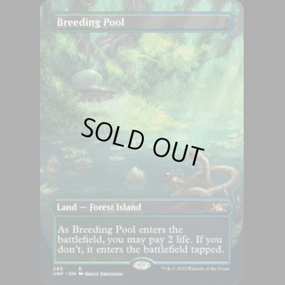 画像1: [FOIL] 繁殖池/Breeding Pool [UNF]