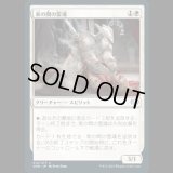 束の間の霊魂/Fleeting Spirit [VOW]