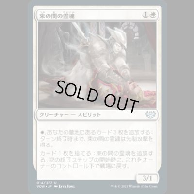 画像1: 束の間の霊魂/Fleeting Spirit [VOW]