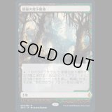 [FOIL] 新緑の地下墓地/Verdant Catacombs [ZNE]