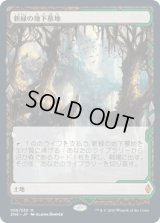 [FOIL] 新緑の地下墓地/Verdant Catacombs [ZNE]