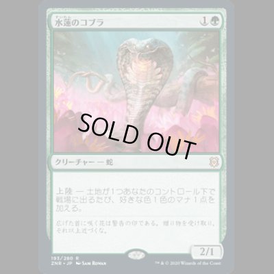 画像1: [FOIL] 水蓮のコブラ/Lotus Cobra [ZNR]