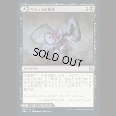 画像1: ペラッカの捕食/Pelakka Predation [ZNR]