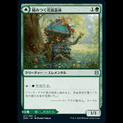 画像1: 絡みつく花面晶体/Tangled Florahedron [ZNR]