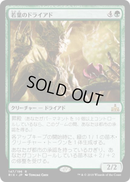 画像1: [FOIL] 若葉のドライアド/Tendershoot Dryad [RIX] (1)