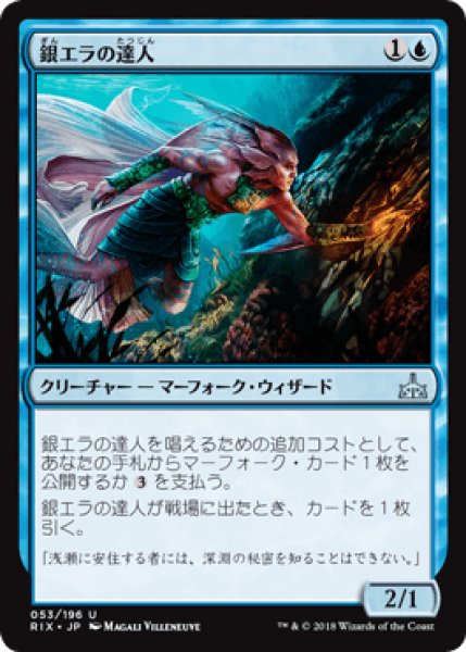 画像1: 銀エラの達人/Silvergill Adept [RIX] (1)