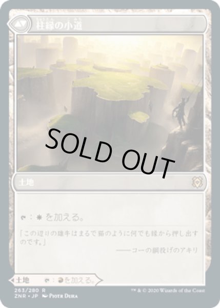 画像2: 針縁の小道/Needleverge Pathway [ZNR] (2)