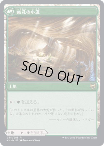 画像2: 闇孔の小道/Darkbore Pathway [KHM] (2)