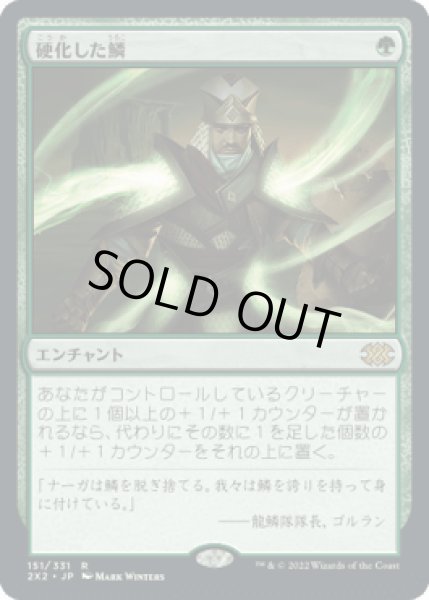 画像1: 硬化した鱗/Hardened Scales [2X2] (1)