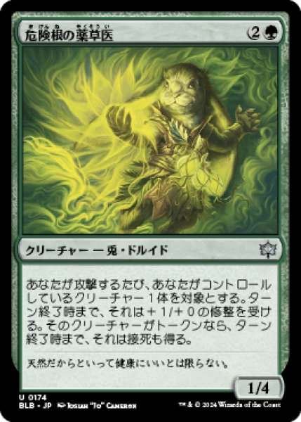 画像1: 危険根の薬草医/Hazardroot Herbalist [BLB] (1)