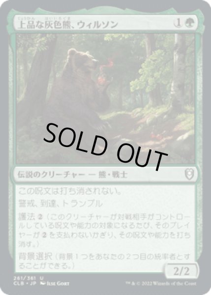 画像1: 上品な灰色熊、ウィルソン/Wilson, Refined Grizzly [CLB] (1)