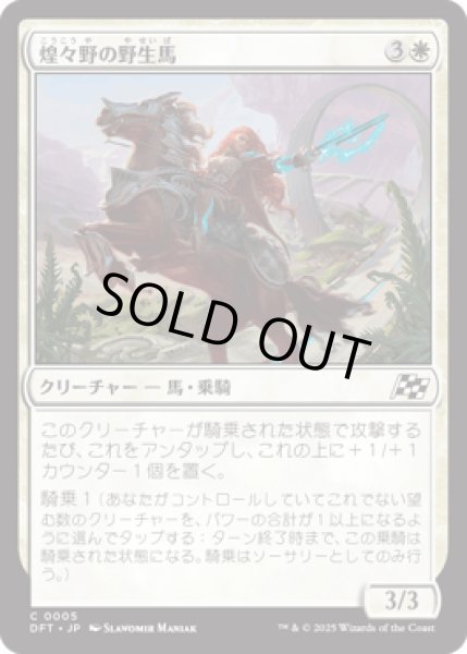 画像1: 煌々野の野生馬/Brightfield Mustang [DFT] (1)