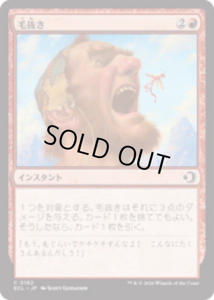 画像1: 毛抜き/Tweeze [ECL] (1)