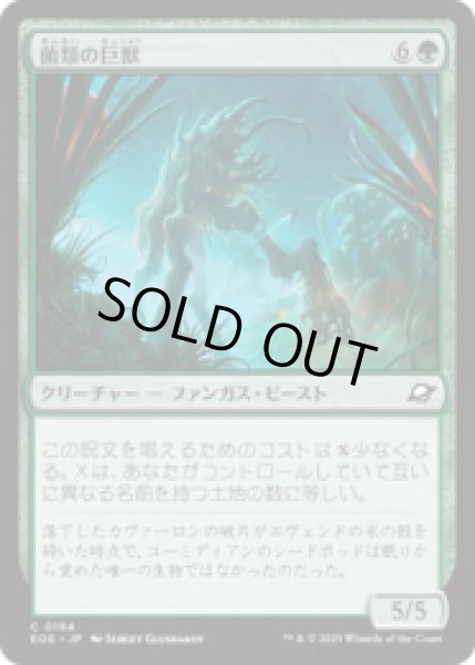 画像1: 菌類の巨獣/Fungal Colossus [EOE] (1)