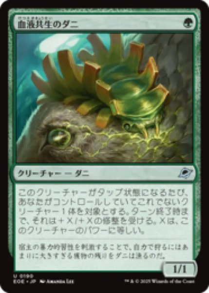 画像1: 血液共生のダニ/Hemosymbic Mite [EOE] (1)