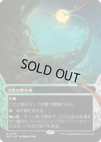 画像1: 活発な野生林/Stirring Wildwood [EOS] (1)