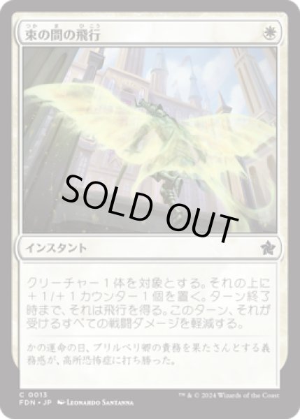画像1: 束の間の飛行/Fleeting Flight [FDN] (1)