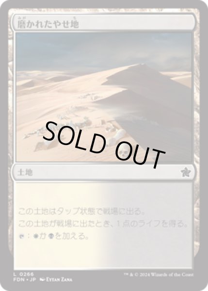 画像1: 磨かれたやせ地/Scoured Barrens [FDN] (1)