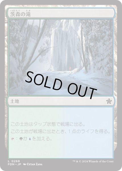画像1: 茨森の滝/Thornwood Falls [FDN] (1)