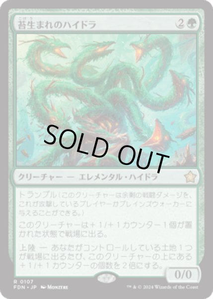 画像1: 苔生まれのハイドラ/Mossborn Hydra [FDN] (1)