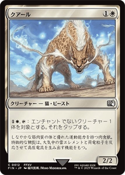 画像1: クアール/Coeurl [FIN] (1)