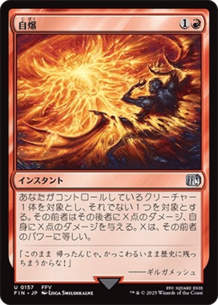 画像1: 自爆/Self-Destruct [FIN] (1)