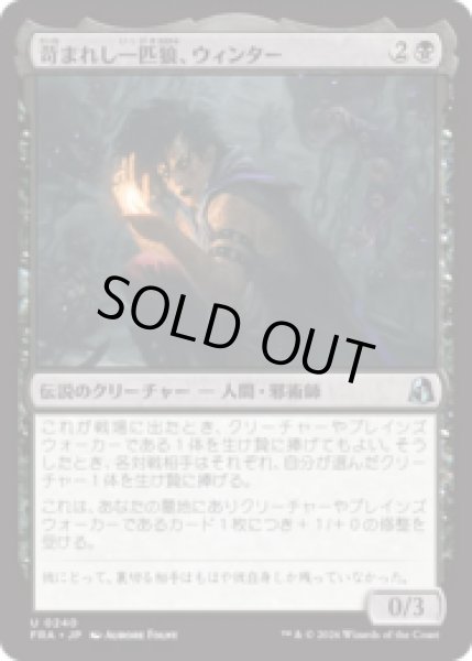 画像1: 苛まれし一匹狼、ウィンター/Winter, Tormented Loner [FRA] (1)