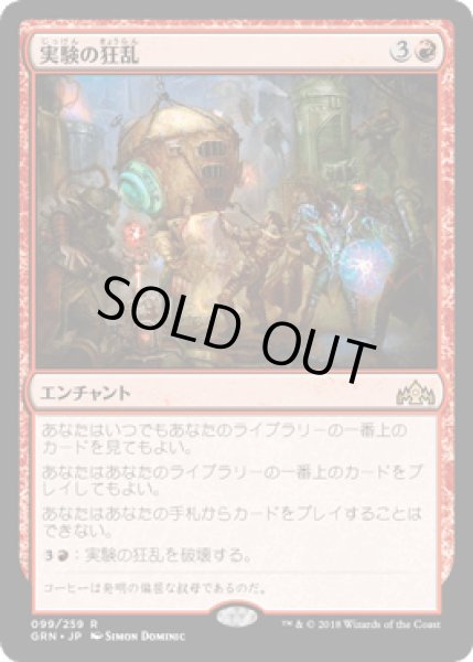 画像1: 実験の狂乱/Experimental Frenzy [GRN] (1)